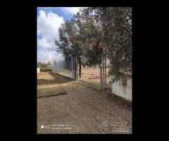 Terreno agricolo di 2700 mq a Varcaturo - 7