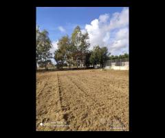 Terreno agricolo di 2700 mq a Varcaturo - 8