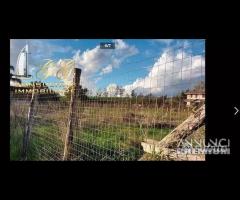 Terreno agricolo 1000 mq a Giugliano in Campania
