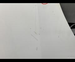 COFANO ANTERIORE VOLKSWAGEN CRAFTER 2014 2E2823033 - 16