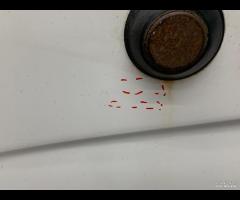 PORTA PORTIERA POSTERIORE BATTENTE DESTRA DX VW CR - 10