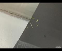 PORTA PORTIERA ANTERIORE DESTRA DX TOYOTA PRIUS IV - 15