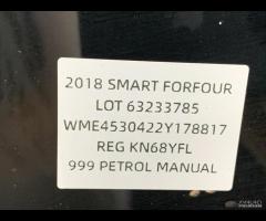 PORTA PORTIERA POSTERIORE DESTRA DX SMART FORFOUR - 18