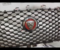 GRIGLIA PARAURTI ANTERIORE GRIGLIA RADIATORE JAGUA - 8