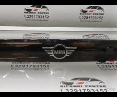 RIVESTIMENTO MANIGLIA DEL PORTELLONE POSTERIORE MI - 6