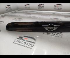 RIVESTIMENTO MANIGLIA DEL PORTELLONE POSTERIORE MI - 10