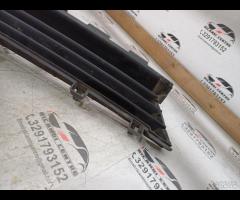 GRIGLIA CENTRALE PARAURTI ANTERIORE INFERIORE 2017 - 14