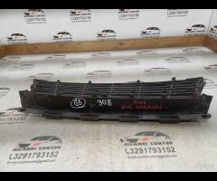 GRIGLIA CENTRALE PARAURTI ANTERIORE INFERIORE 2017 - 16