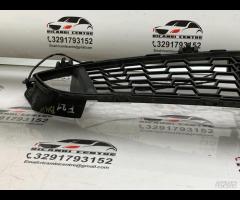 GRIGLIA PARAURTI ANTERIORE GRIGLIA RADIATORE BMW F - 9