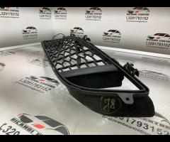 GRIGLIA PARAURTI ANTERIORE GRIGLIA RADIATORE BMW F - 11