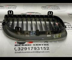 GRIGLIA PARAURTI ANTERIORE GRIGLIA RADIATORE SINIS - 12