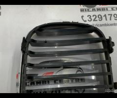 GRIGLIA PARAURTI ANTERIORE GRIGLIA RADIATORE SINIS - 16