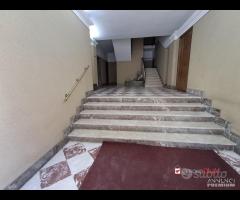 Camere in appartamento zona centro