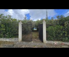 Portella Castanea, ampia villa di 150mq e 10.000
