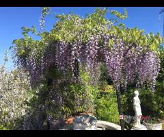 Portella Castanea, ampia villa di 150mq e 10.000