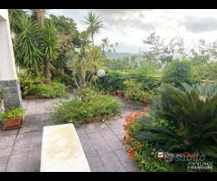 Portella Castanea, ampia villa di 150mq e 10.000 - 21