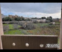 Appartamento 3 vani e acc. Box e giardino - 16