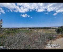 Grottaglie- terreno su via per Montemesola - 6