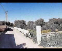 Terreno in zona residenziale