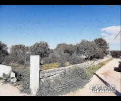 Terreno in zona residenziale