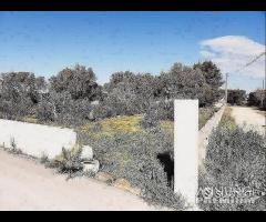 Terreno in zona residenziale - 6