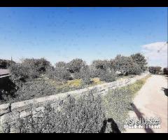 Terreno in zona residenziale - 11