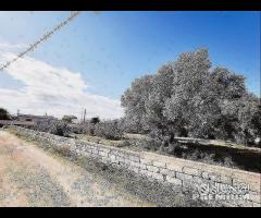 Terreno in zona residenziale - 13