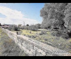 Terreno in zona residenziale - 14