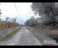 Terreno in via delle Margherite