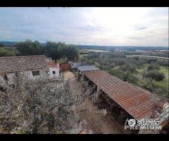 Masseria genzano