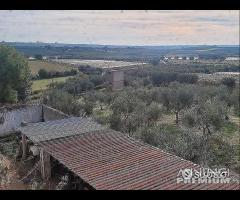 Masseria genzano