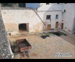 Masseria genzano - 6