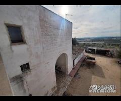 Masseria genzano - 16