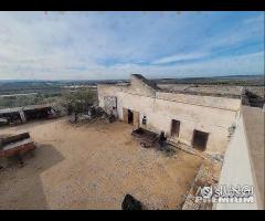 Masseria genzano - 17