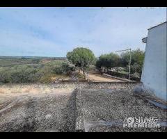 Masseria genzano - 19