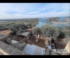 Masseria genzano - 20