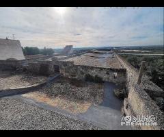 Masseria genzano - 21