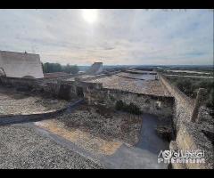 Masseria genzano - 22