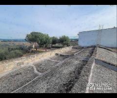 Masseria genzano - 24