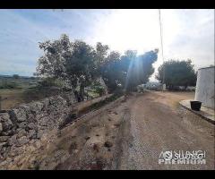 Masseria genzano - 25