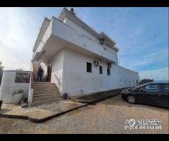 Masseria genzano - 26