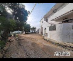 Masseria genzano - 27