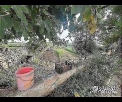 Masseria genzano - 29