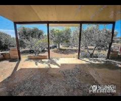 Casetta con terreno - 7