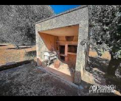 Casetta con terreno - 15