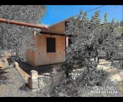 Casetta con terreno - 17