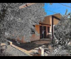 Casetta con terreno - 18