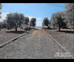 Casetta con terreno - 20