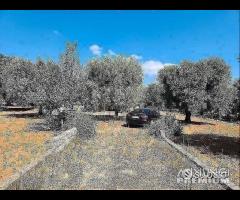 Casetta con terreno - 21