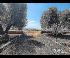 Casetta con terreno - 22